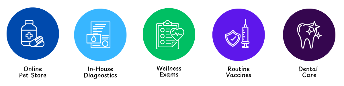 best veterinarian Monroe