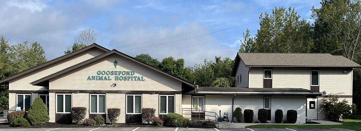 monroe animal hospital monroe ny