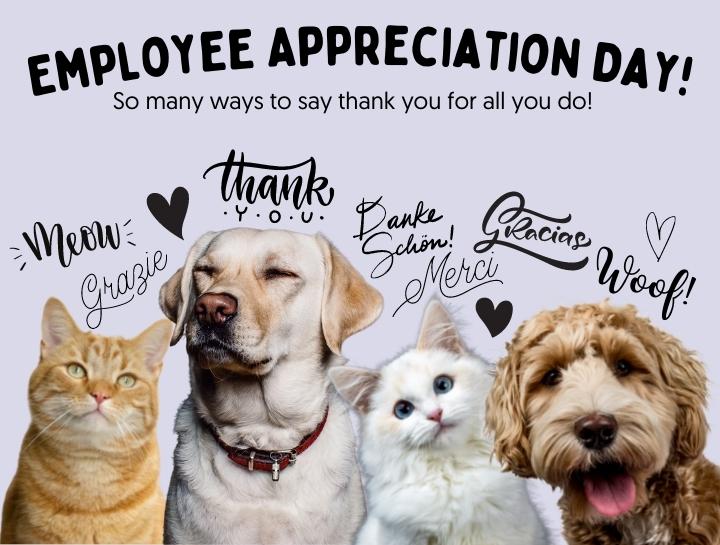 Employee Appreciation Day!