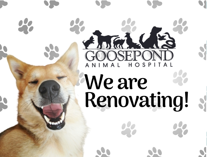 We're Renovating!